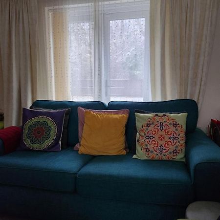 Apartament Rehoboth In Yew Gardens Doncaster Zewnętrze zdjęcie