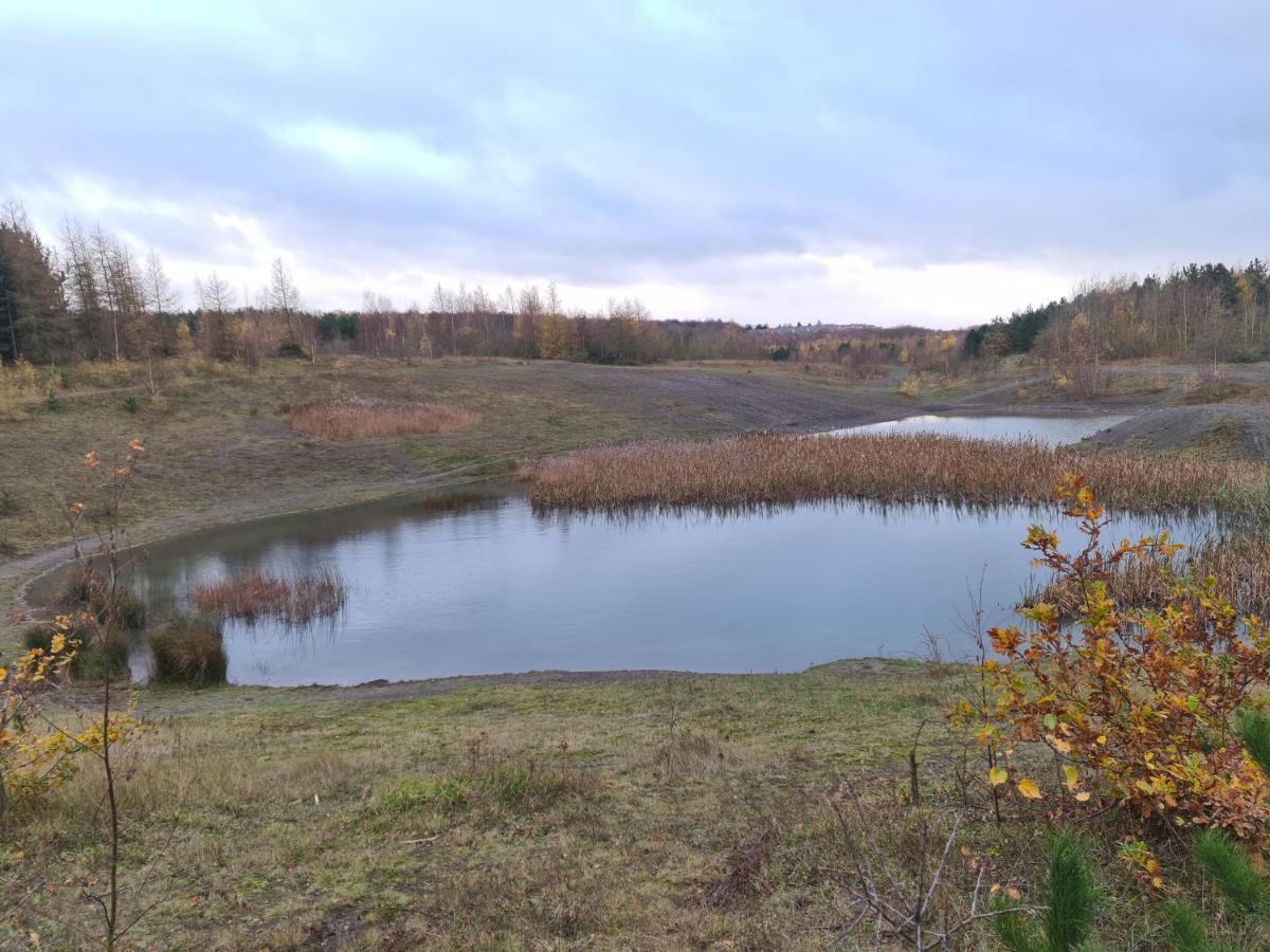 Apartament Rehoboth In Yew Gardens Doncaster Zewnętrze zdjęcie